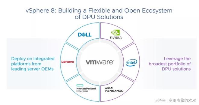 虚拟现实处理软件开发 VMware 如何将 AMD、Intel 和 Nvidia 的数据处理单元变为现实